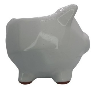 Macetas Puerco Geometrico Minimalista Suculenta Mini Maceta