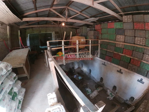 Imagen 9 de 16 de Campo, 7 Has, Cno Mendoza, Quinta En Producción Con Frente A Dos Caminos