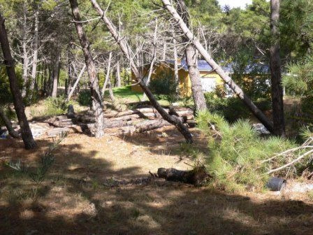 Imagen 3 de 3 de Lote En Venta - Pinamar Norte, Zona Penelope / Ref: 1414