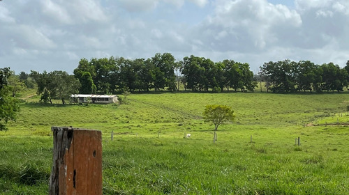 Imagen 19 de 25 de Bella Finca Operativa Ubicada En El Palmar, Estado Bolivar