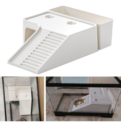 De Para Tortugas, Terraza De , Escalera Caja De Suelo Grande