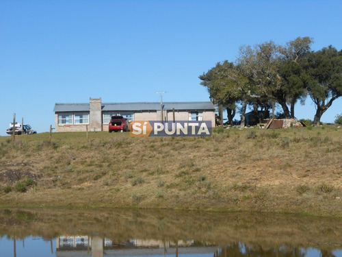 Imagen 8 de 12 de Chacra A La Venta Ruta 39, Camino Cerro Catedral