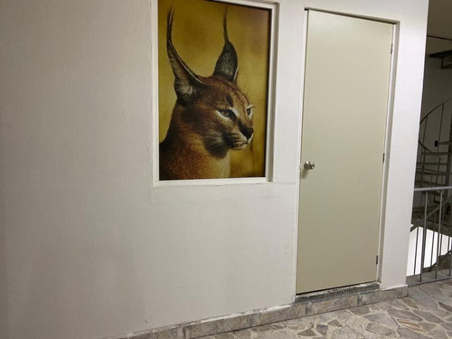 Oficina En Renta En San Juan De Aragon 7 M2 , $2500