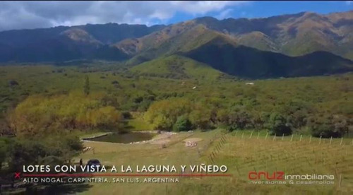 Imagen 2 de 11 de Loteo Sobre La Montaña En Marlo - San Luis - 5000m2
