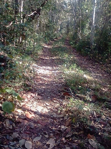 Venta De Terreno En Quintana Roo