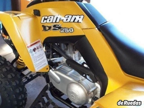 Can Am 250cc Ds