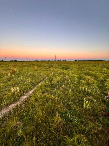 Campo En Saladas, Corrientes 409 Ha. Mixto. Sobre Ruta 118 - Venta
