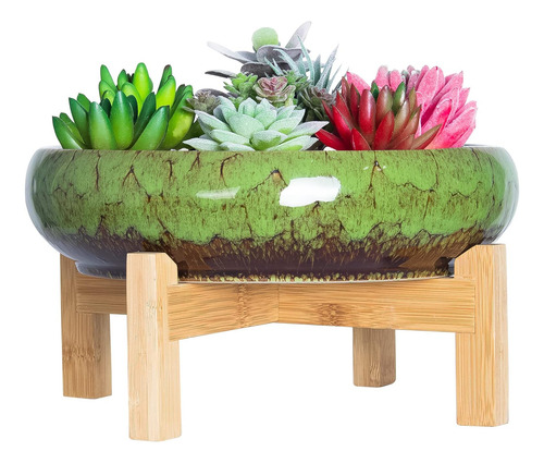 Maceta Grande De Cerámica Para Suculentas Y Cactus (10 Pulga