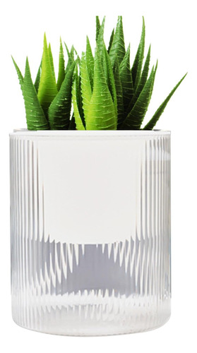 Automatic Watering Pot | Transparent Indoor Plant Pots,