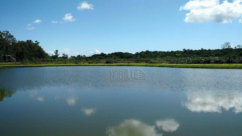 Terreno À Venda, 436 M²- Ratones - Florianópolis/sc - Te0214