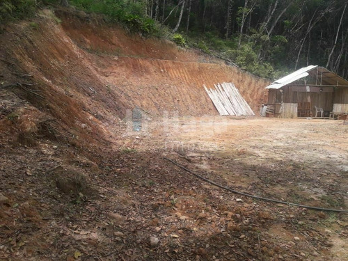 Imagem 14 de 20 de Chácara À Venda No Bairro Brilhante Ii - Itajaí/sc - 2156c