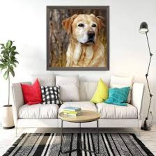 Pintura Por Diamantes Kit Completo 30x30cm Perrito Labrador