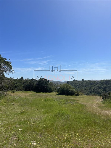 Gran Parcela, Paño De 1,64 Hectáreas, Pupuya, Matanzas