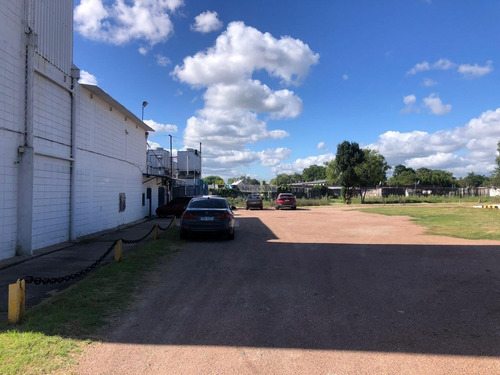 Imagen 15 de 20 de Local Galpon Deposito Industria Nuevo París Emancipacion Con Toda La Maquinaria Y Demás!