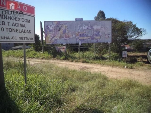 Imagem 6 de 7 de Terreno Comercial - Centro - Ref: 22694 - L-22694