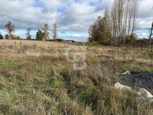 Parcelas 5.000 M² Cerca De Osorno