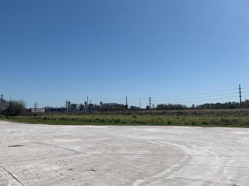 Imagen 12 de 19 de Fracción Industrial 18478 M² Polo Industrial Carlos Spegazzini