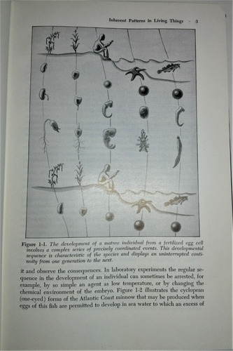 General Genetics. Autores Srb Y Owen. San Francisco, 1957 (Usado)