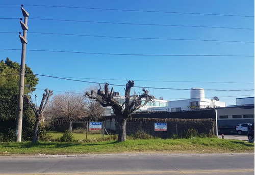 Terreno - Beccar Alto