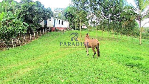 Imagem 4 de 30 de Fazenda Em Itabuna, Frente Para Br 101-160 Ha- R$ 10.000.000,00 - V65800