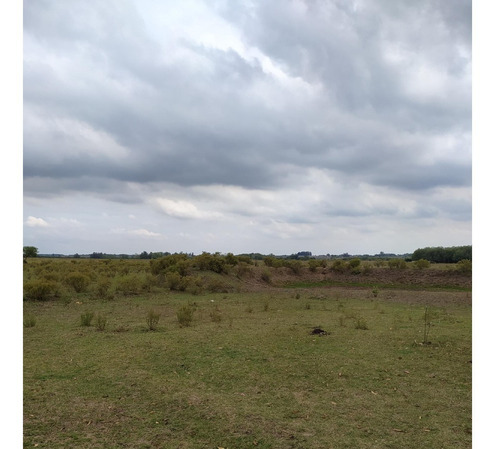 Vendo Muy Lindo Campo De 11 Has, Casa, Monte, Tajamar, Zona Tranquila Consulte