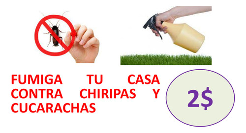 Insecticida Para Chiripas Y Cucarachas