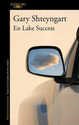 Libro En Lake Success