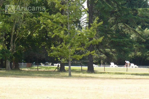 Imagen 5 de 7 de Terreno En Campo Daromy - San Vicente