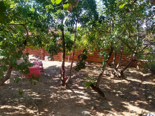 Uma Chácara Com Três Quartos Um Banheiro Sala Cozinha