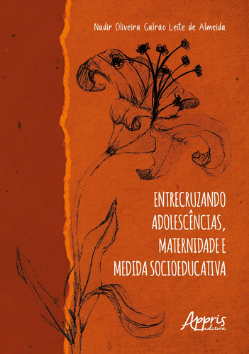 Entrecruzando Adolescências, Maternidade e Medida Socioeducativa, de Leite de Almeida, Nadir Oliveira Galrão. Editorial Appris Editora e Livraria Eireli - ME, capa mole em português, 2021