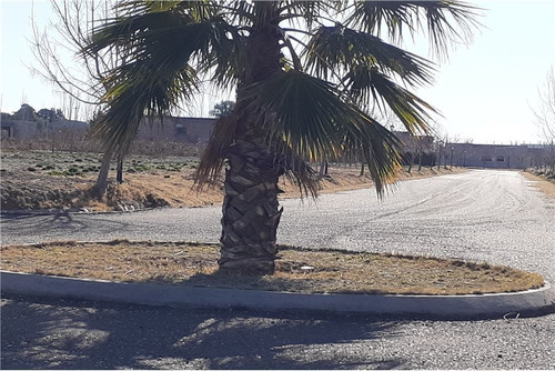 Imagen 14 de 30 de Barrio Viñas Del Sur Lotes, A Medida, Pre-venta