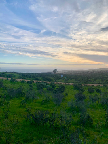 Sitio Con Rol Y Vista Al Mar En Condominio (69029)
