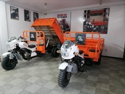 Imagen 3 de 10 de Motocarro Tipo Volqueta Vaisand Max Una Tonelada