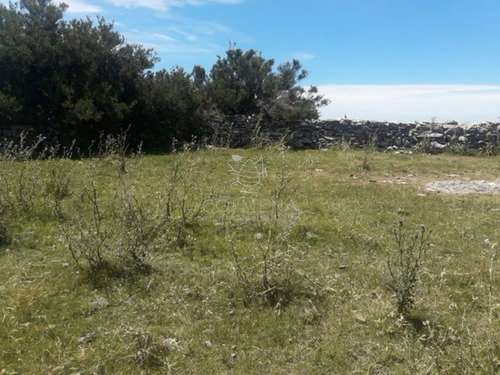 Imagen 16 de 16 de Campo En Carape - Departamento De Maldonado - Carape