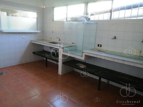 Imagen 6 de 10 de Local Comercial En El Centro De Malodonado, Ideal Para Depósito, Restaurante O Colegio.