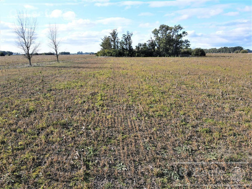 Imagen 6 de 18 de 33 Has En Venta - Chacra Agrícola Con Excelente Acceso