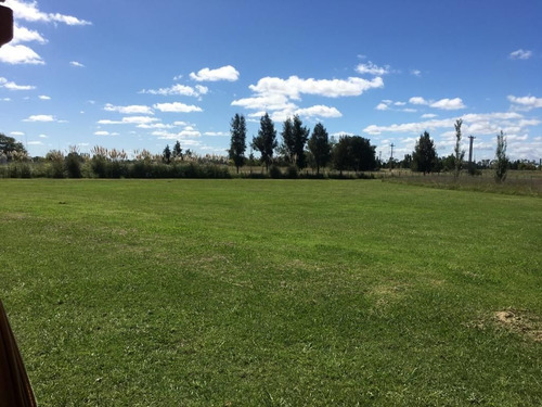 Casa En Venta En San Miguel Del Monte
