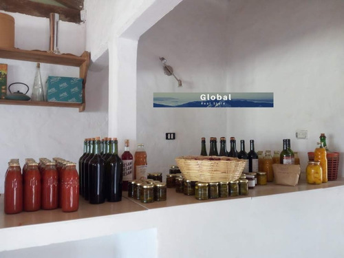 Imagen 6 de 26 de Excelente Finca De 31 Has En San Rafael , Mendoza Zona Vitivinícola Argentina