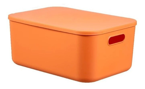 Caja Organizadora Plástico C/tapa 36x25x16cm -varios Colores