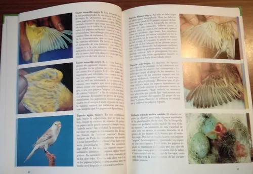 Libro: Canarios, Todas Las Razas Y Variedades