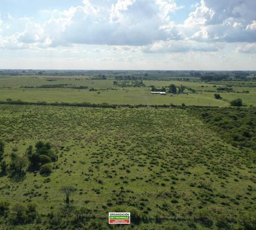 Imagen 6 de 12 de Lotes Rurales De 3,5 Has Cada Una En Ejido Colón