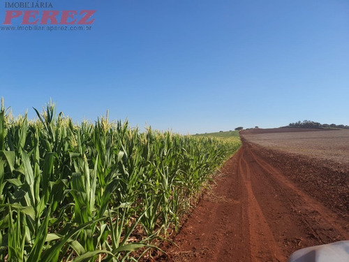 Imagem 5 de 24 de Chácaras_sítios_fazendas Para Venda - 13650.8047