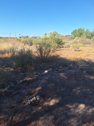 Venta Terreno / Lote Luján De Cuyo