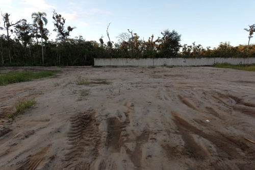 Imagem 12 de 14 de Terreno - 1547t - 69232909