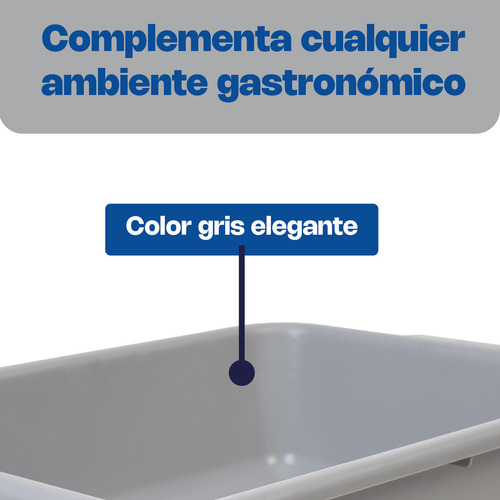 Caledonia CHALE-5 Charola Levantamuertos Polipropileno Chale 5 Color Gris