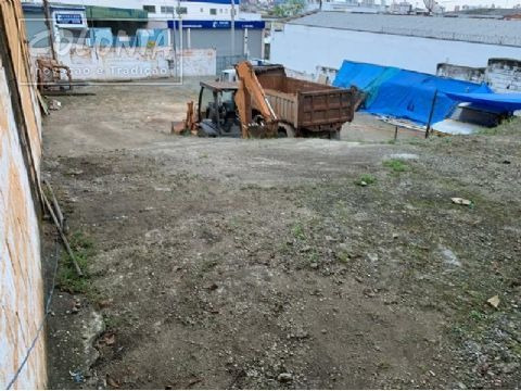 Imagem 6 de 14 de Terreno A Venda - 4332405