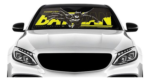 Cubre Sol Dc Batman Forever Tesla Model 3 Standard