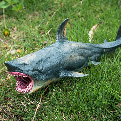 Juguete De Megalodón Oceánico Realista De Figure Scientific