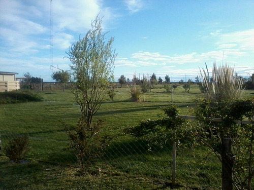 Sensacional Chacra En Viedma, Sobre 10.000m2 De Terreno.