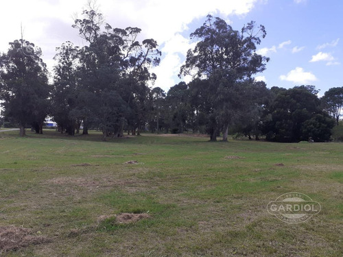 Imagen 2 de 7 de Terreno De 1.000 M2 En Beverly Hills, Punta Del Este.